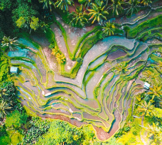 Aerial photo of rice terraces, Jason Cooper, Unsplash